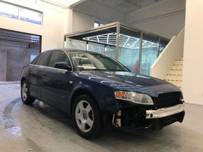 汽车多少岁落户