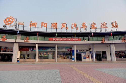 泗阳顺风汽车股价多少 泗阳顺风汽车股价多少