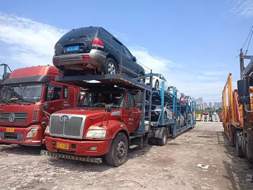 运输汽车需要多少费用