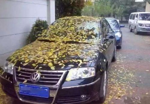 大汽车有多少天