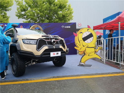 汽车笑脸多少钱