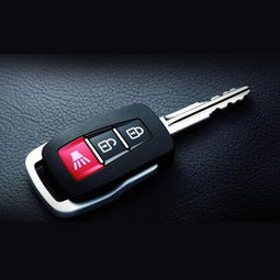 配汽车钥匙投资多少