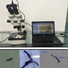 汽车仪器盘上温度多少