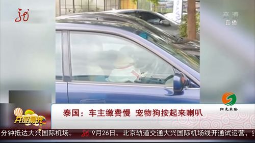 小汽车加油费多少