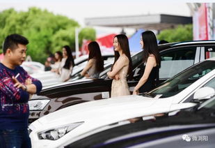 浏阳有多少台汽车