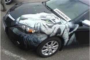 比亚迪汽车彩绘收费多少