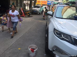 汽车雾化深度消毒多少