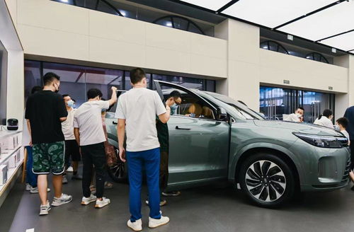 100万汽车税多少