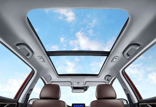 汽车天窗清理要多少