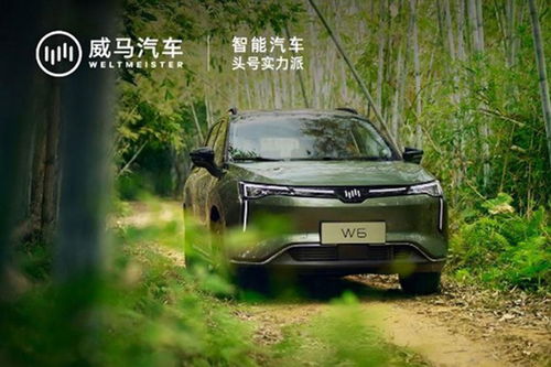 威马汽车交付多少 威马汽车交付多少