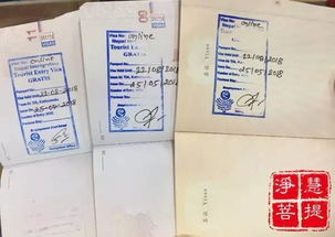 尼泊尔汽车票多少 尼泊尔汽车票多少