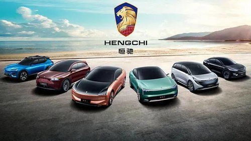 烟岸汽车多少钱