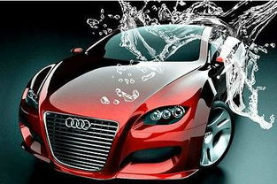 棕榈汽车蜡硬度多少