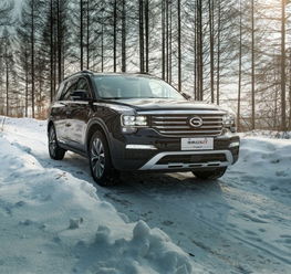 榆林现有汽车多少辆车