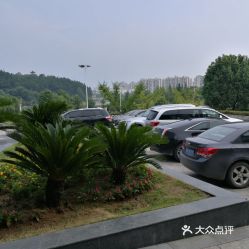 宿松汽车多少钱