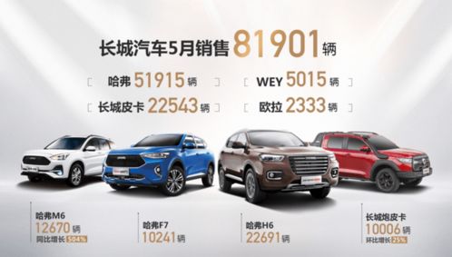 长城限量汽车多少辆车