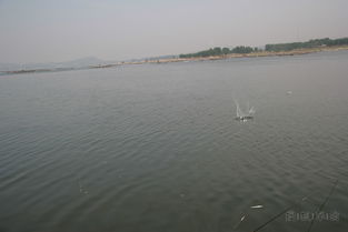 水库汽车救援价格多少