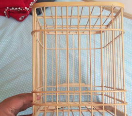 汽车鸟笼多少钱