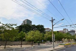 南山公园多少路汽车