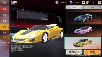 荒野行动汽车有多少