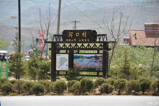 昆明汽车去河口多少