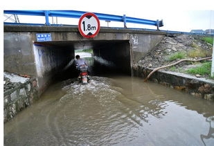 汽车多少水位算涉水 汽车多少水位算涉水