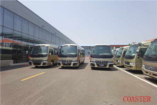 宜章大型汽车有多少