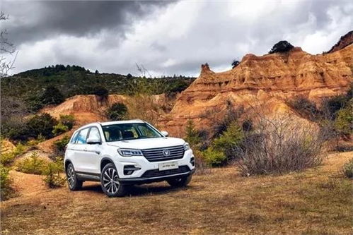 甘孜长安汽车估价多少 甘孜长安汽车估价多少