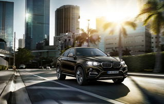 辛有志汽车卖了多少 辛有志汽车卖了多少