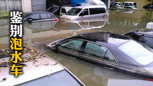 水泡汽车多少钱
