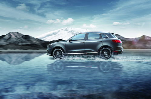 汽车 增购比例多少合适