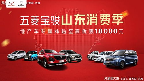 山东汽车补贴多少