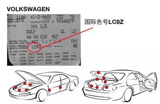 汽车油漆编码是多少 汽车油漆编码是多少