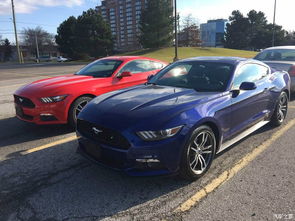 野马汽车之家报价多少