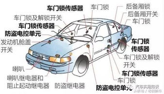 汽车有多少电控单元