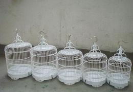 汽车鸟笼多少钱