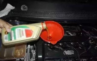 汽车需要多少种油