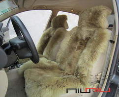 汽车掉皮维修价格多少 汽车掉皮维修价格多少