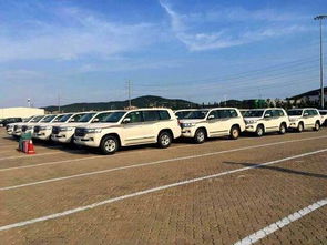 滨海汽车多少钱