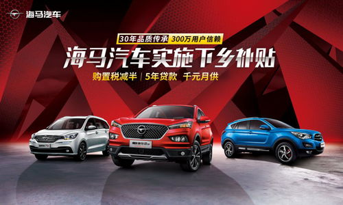 自贡汽车政府补贴多少