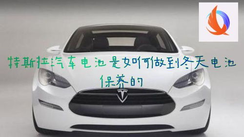 特斯拉汽车放多少电池