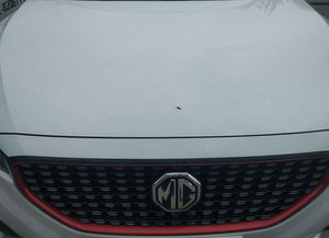 汽车加油距离多少合适