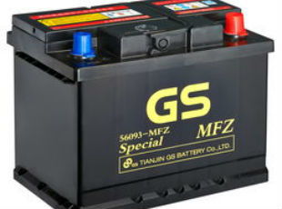 最大汽车电瓶是多少 最大汽车电瓶是多少