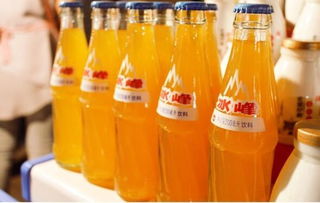 汽车汽水盐度是多少