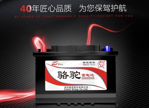 汽车骆驼电池多少付 汽车骆驼电池多少付