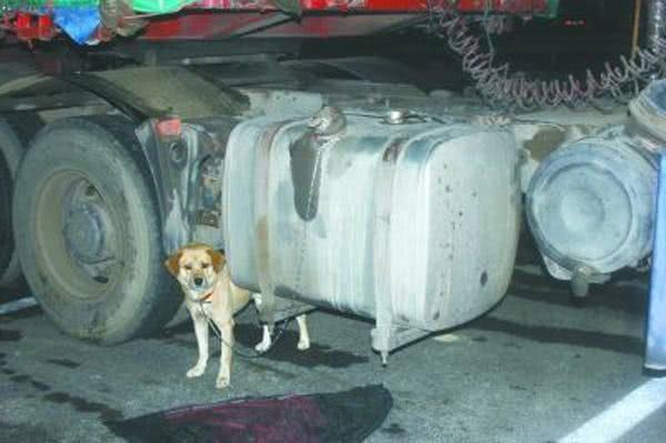 汽车油箱咋看多少 汽车油箱咋看多少