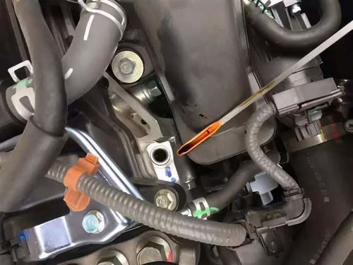 汽车机油寿命多少该换