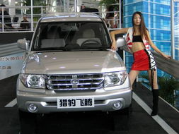 猎豹CFA汽车耗油多少 猎豹CFA汽车耗油多少