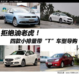 汽车t有多少排量