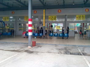 平南汽车总站多少电话